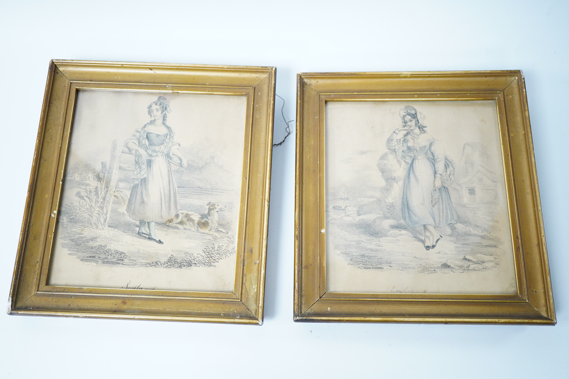 A small group of various collectables including an Edwardian oil on canvas board, study of a dog, a 19th century woolwork, cast iron bottle opener in the form of a parrot and an Art Deco bookend surmounted with a cat